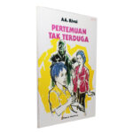 Pertemuan Tak Terduga